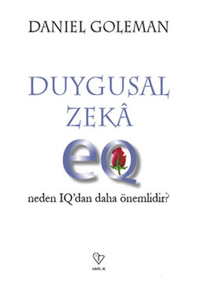 duygusal zeka kitap