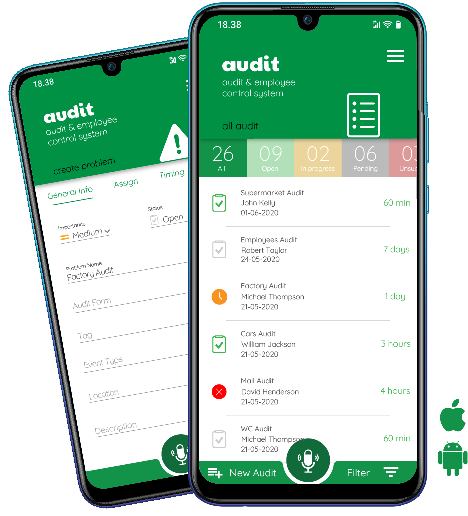 Audit mobile application